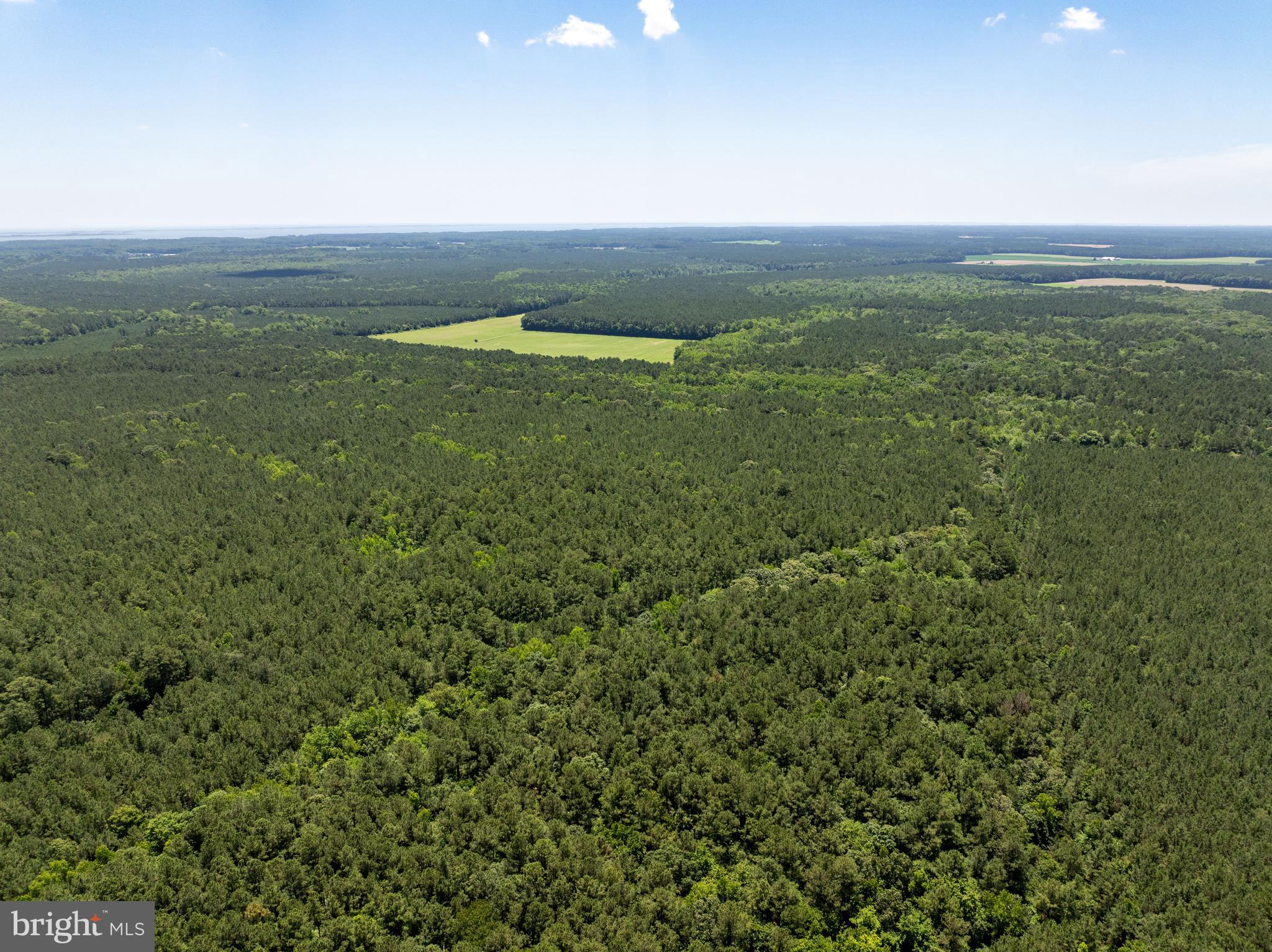 0 Patey Woods Road Berlin, MD 21811 - Photo 9 of 20 a view of an ocean and mountain