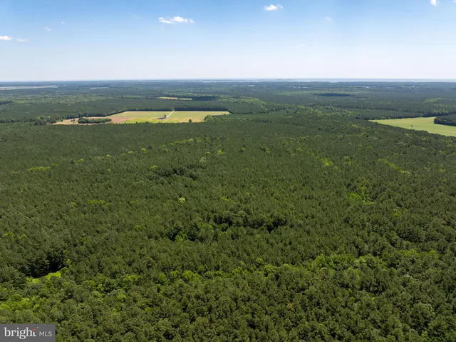 a view of an ocean and beach