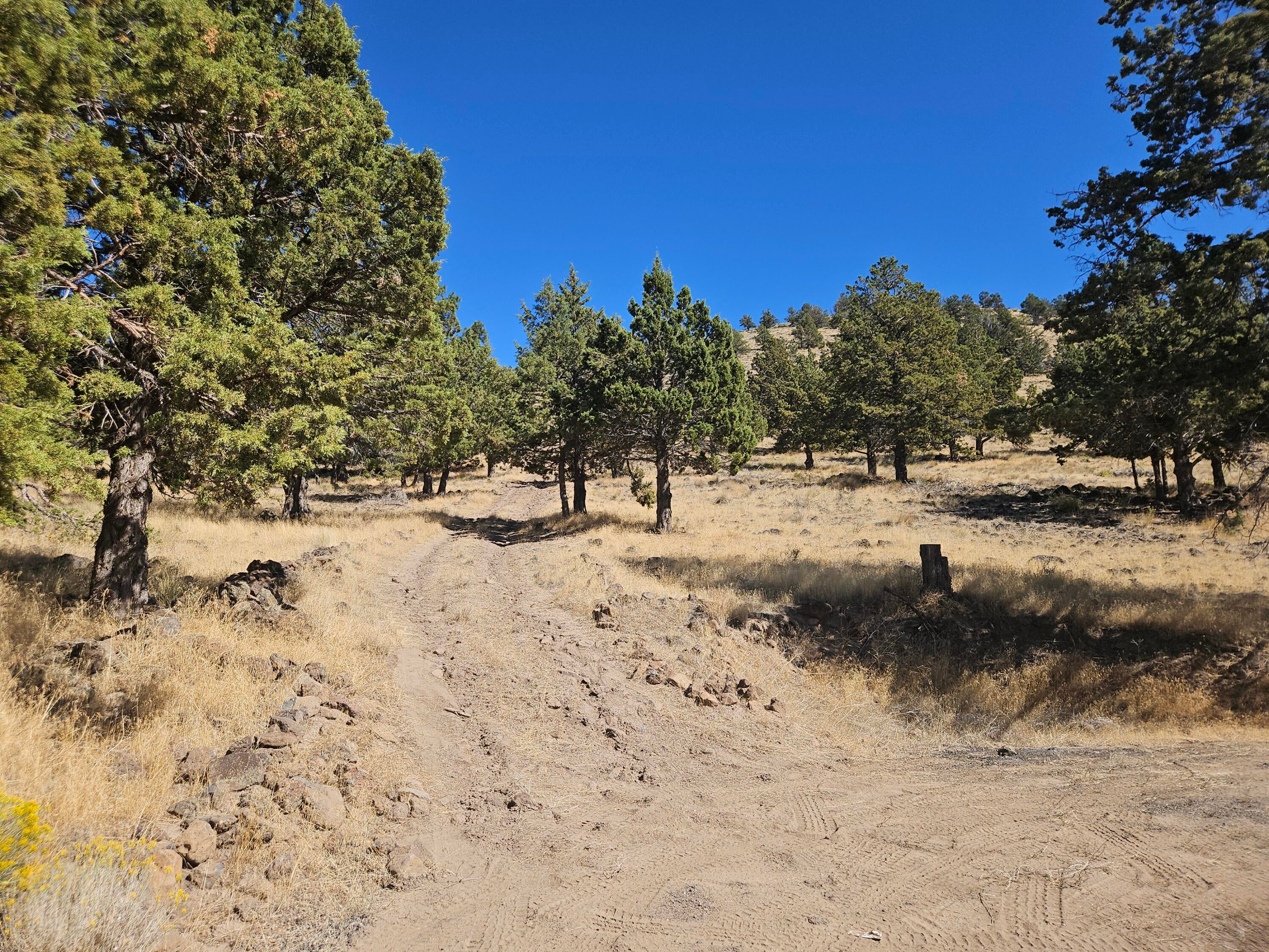 11435 Hill Road Klamath Falls, OR 97603 - Photo 28 of 29 23. Back acreage