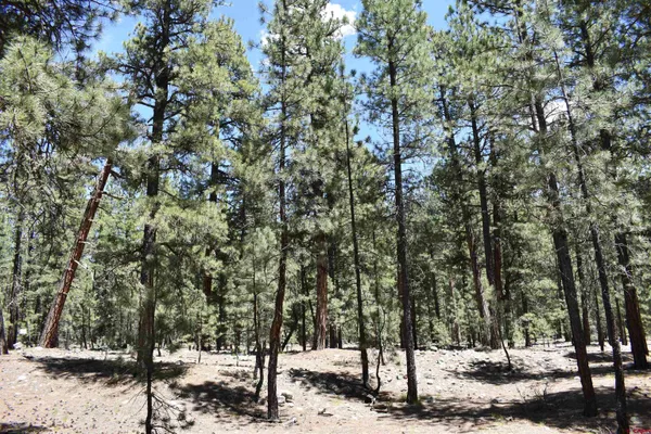 $89,900 | 80 Ranch Road, Bayfield, CO 81122