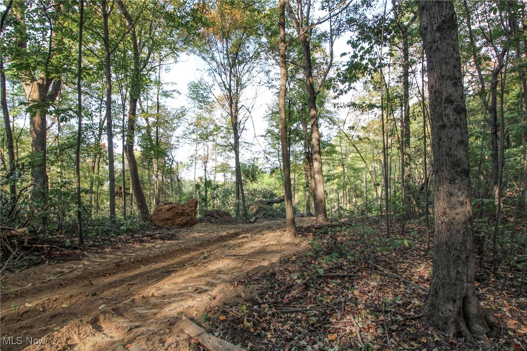 15999 State Route 26 Reno, OH 45773 - Photo 10 of 18 View of woods