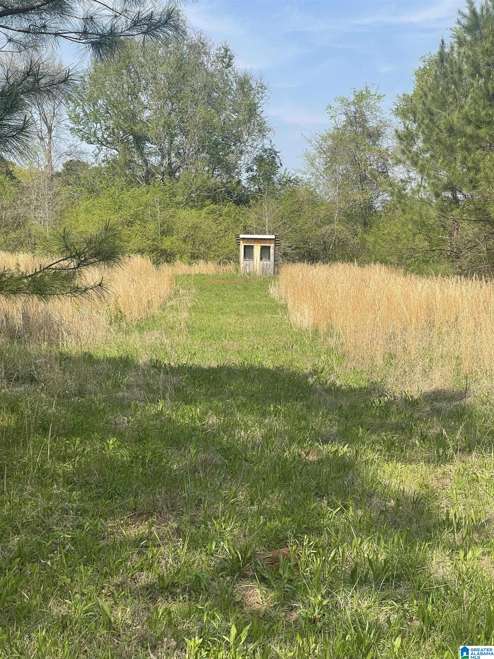 1931 Red Valley Road Remlap, AL 35133 - Photo 15 of 17
