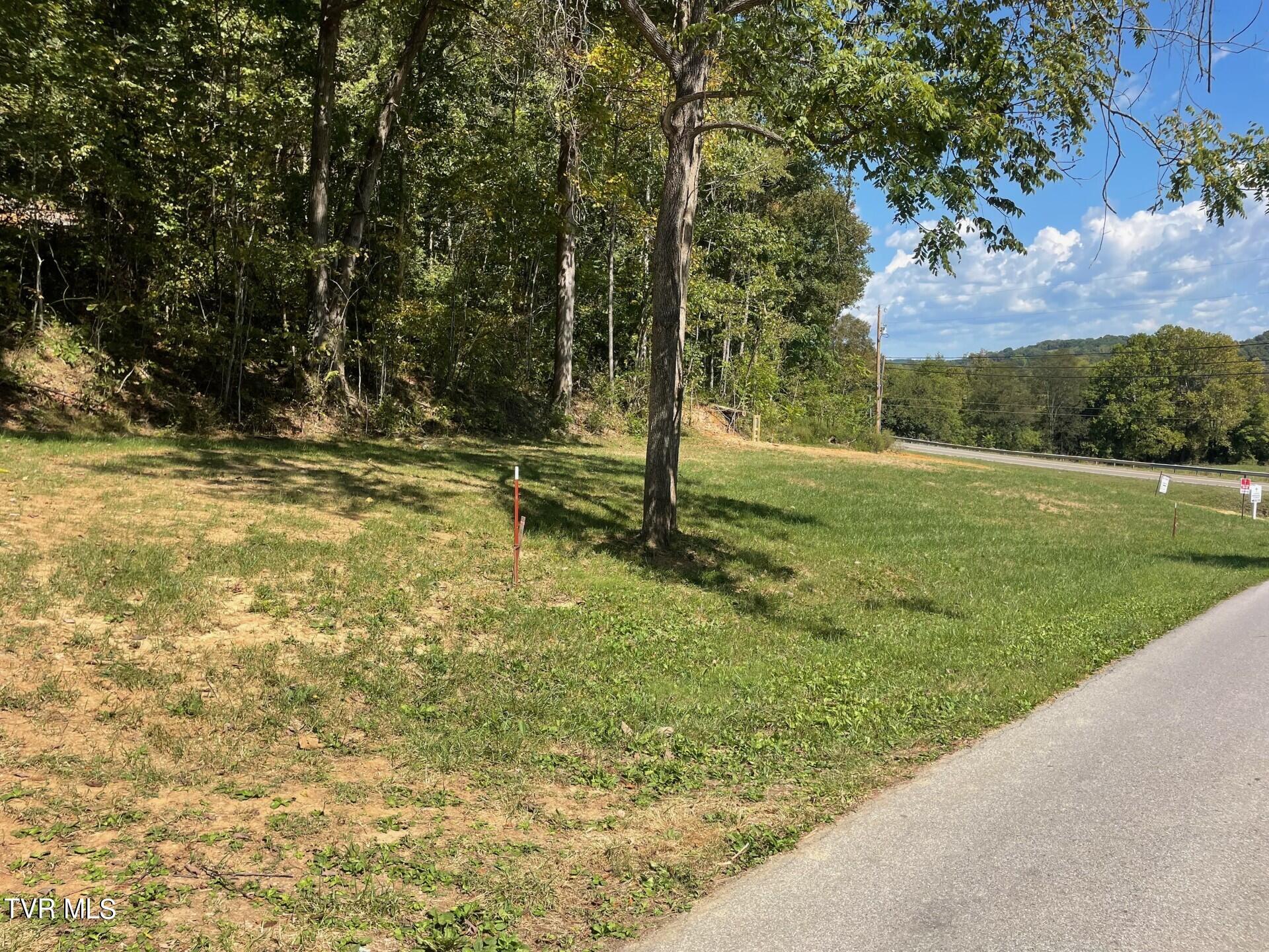 0 Bright Hope Road, Unit 12 Greeneville, TN 37743 - Photo 3 of 8 thumbnail_IMG_2562