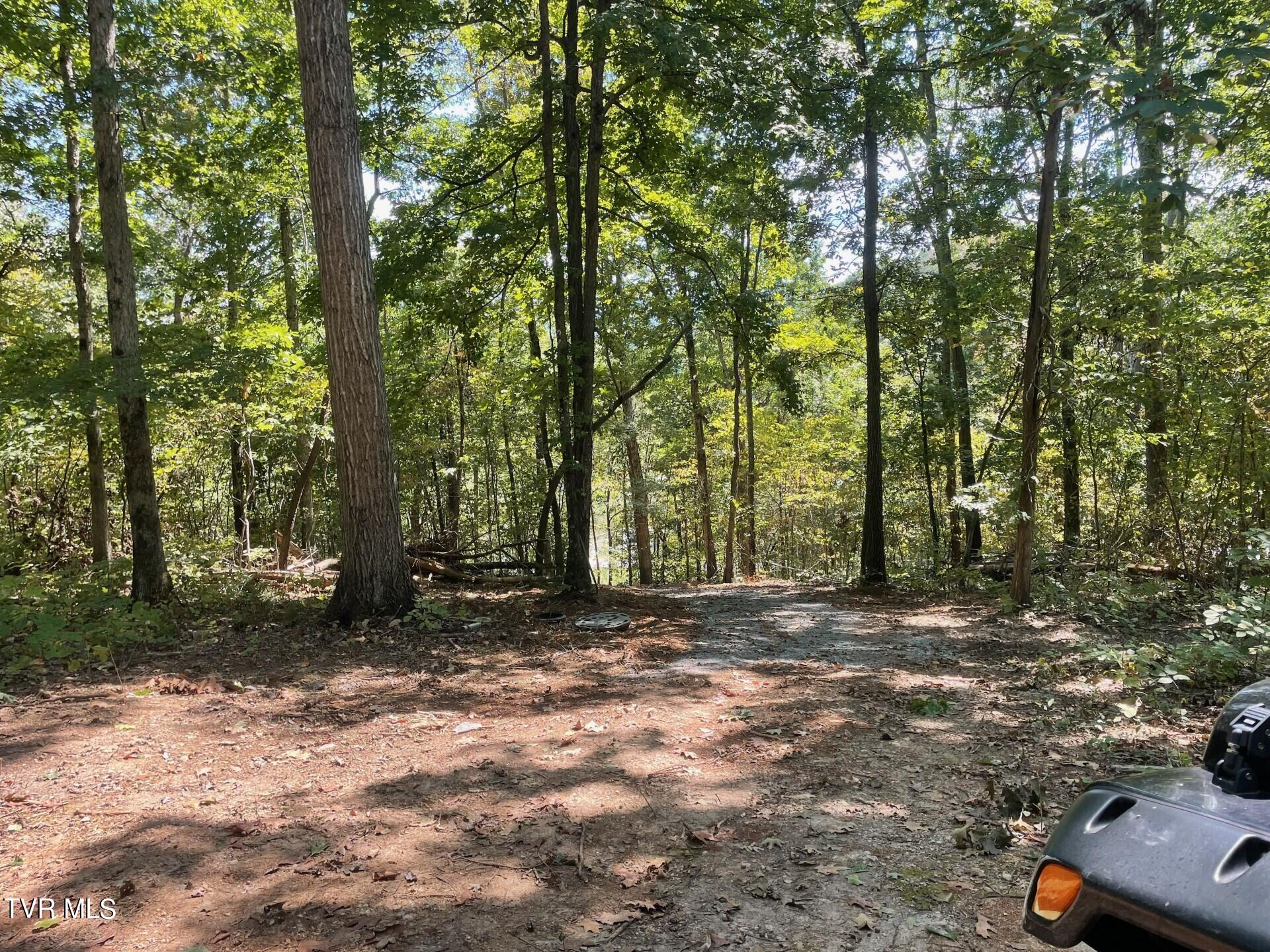 0 Bright Hope Road, Unit 12 Greeneville, TN 37743 - Photo 5 of 8 thumbnail_IMG_2561