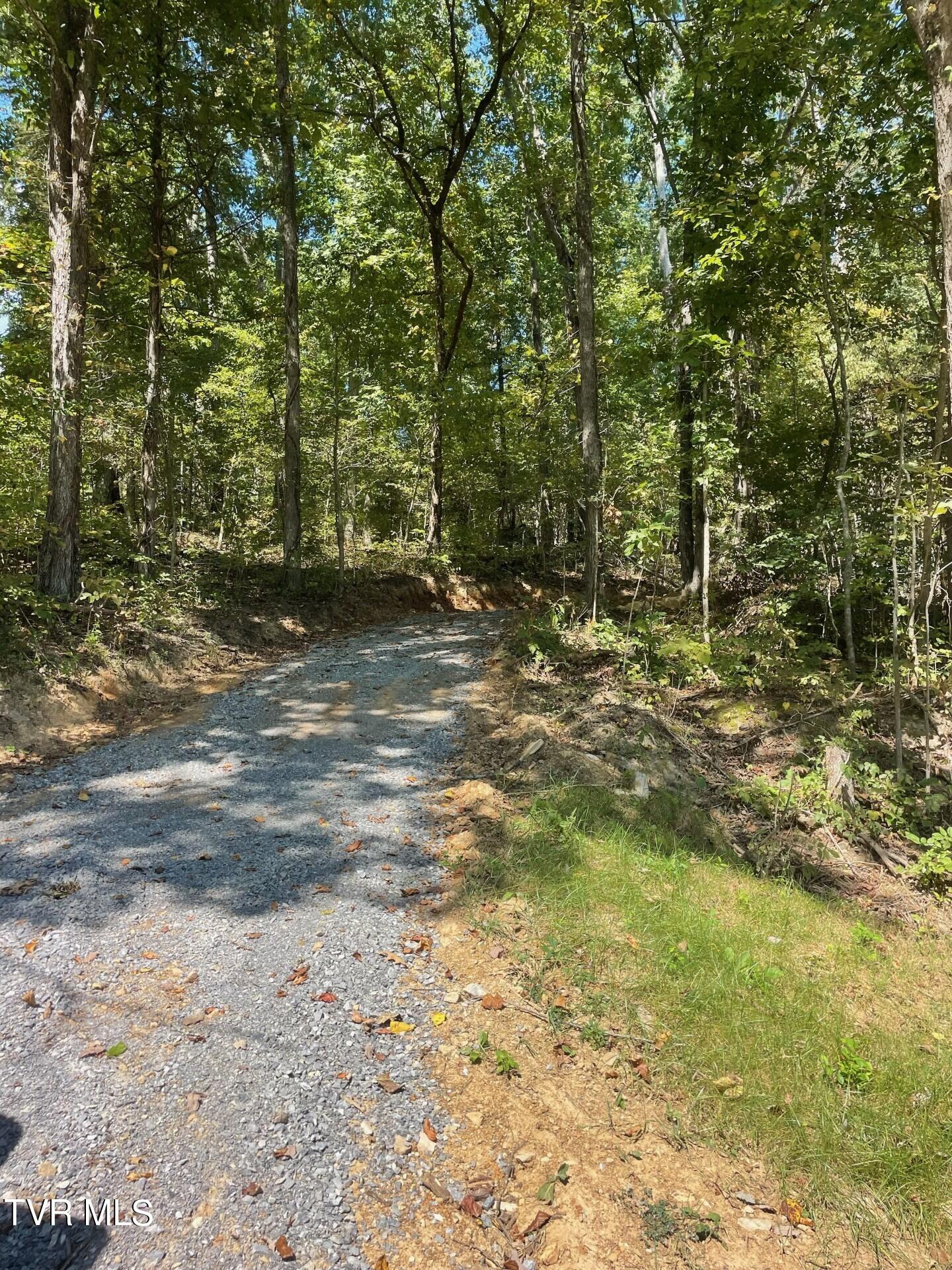 0 Bright Hope Road, Unit 12 Greeneville, TN 37743 - Photo 6 of 8 thumbnail_IMG_2567