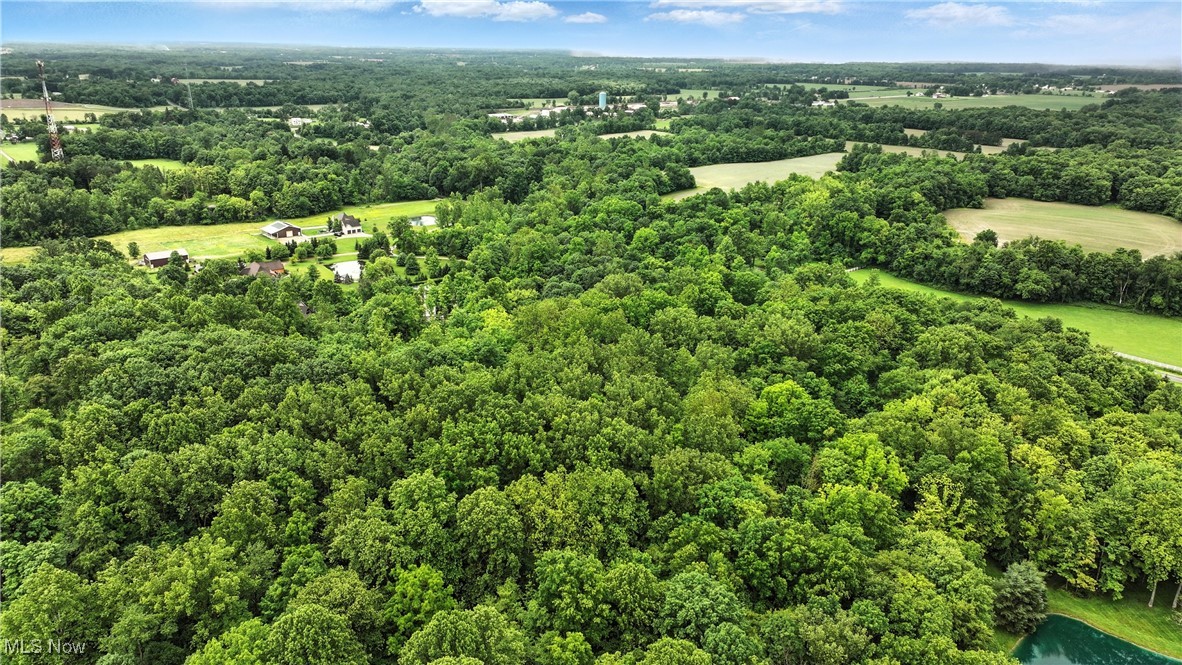 21251 Pitts Road Wellington, OH 44090 - Photo 7 of 14 Bird's eye view of a heavily wooded area