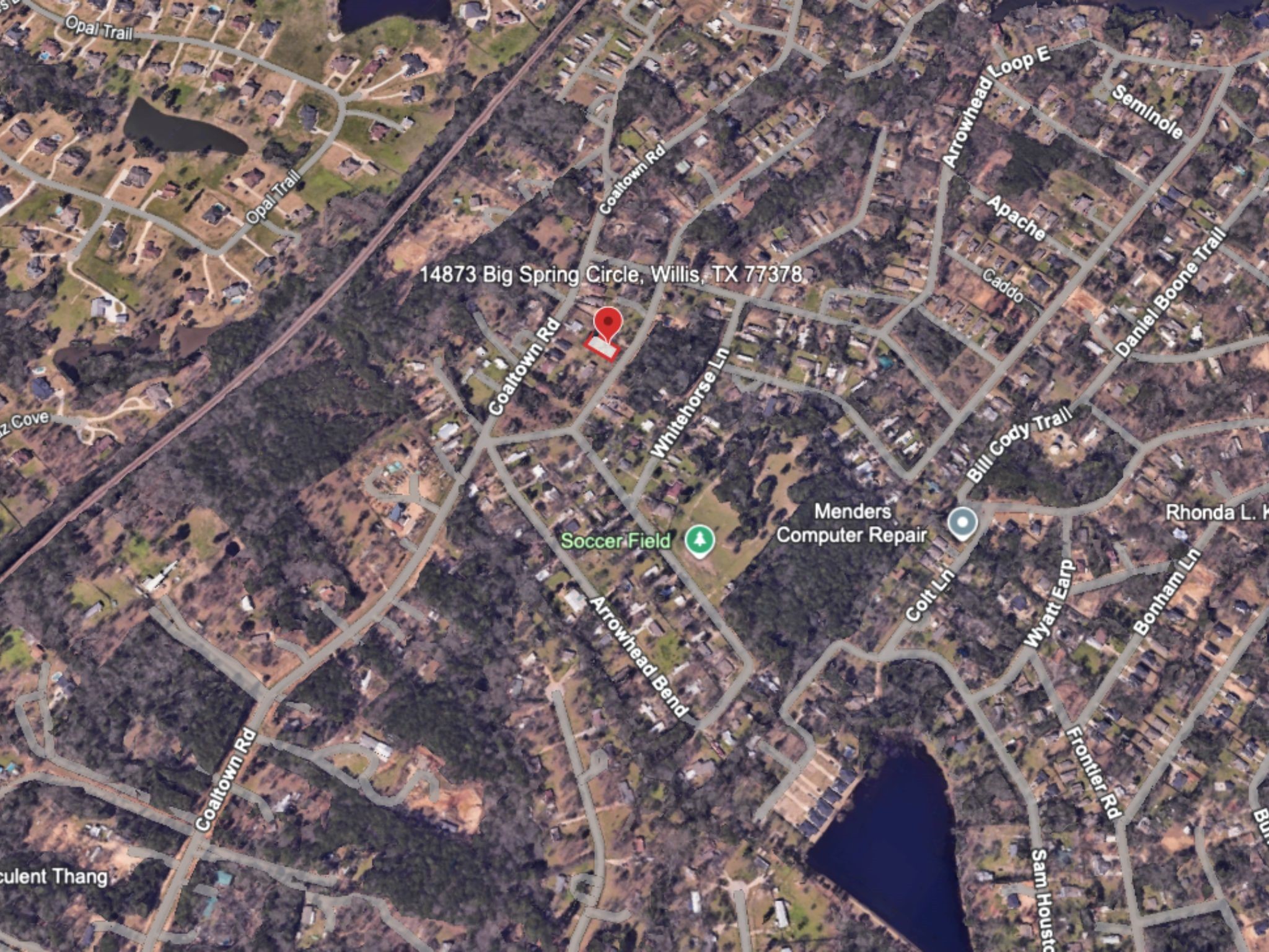 14873 Big Spring Circle Willis, TX 77378 - Photo 5 of 5 a picture of tree