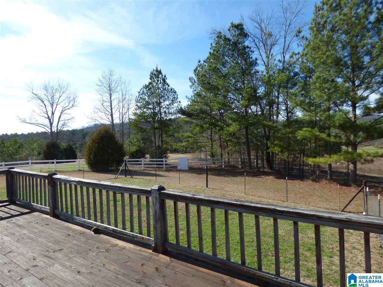 1430 Dripping Rock Road Piedmont, AL 36272 - Photo 20 of 41