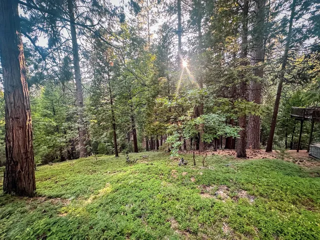 a big yard with lots of green space and trees
