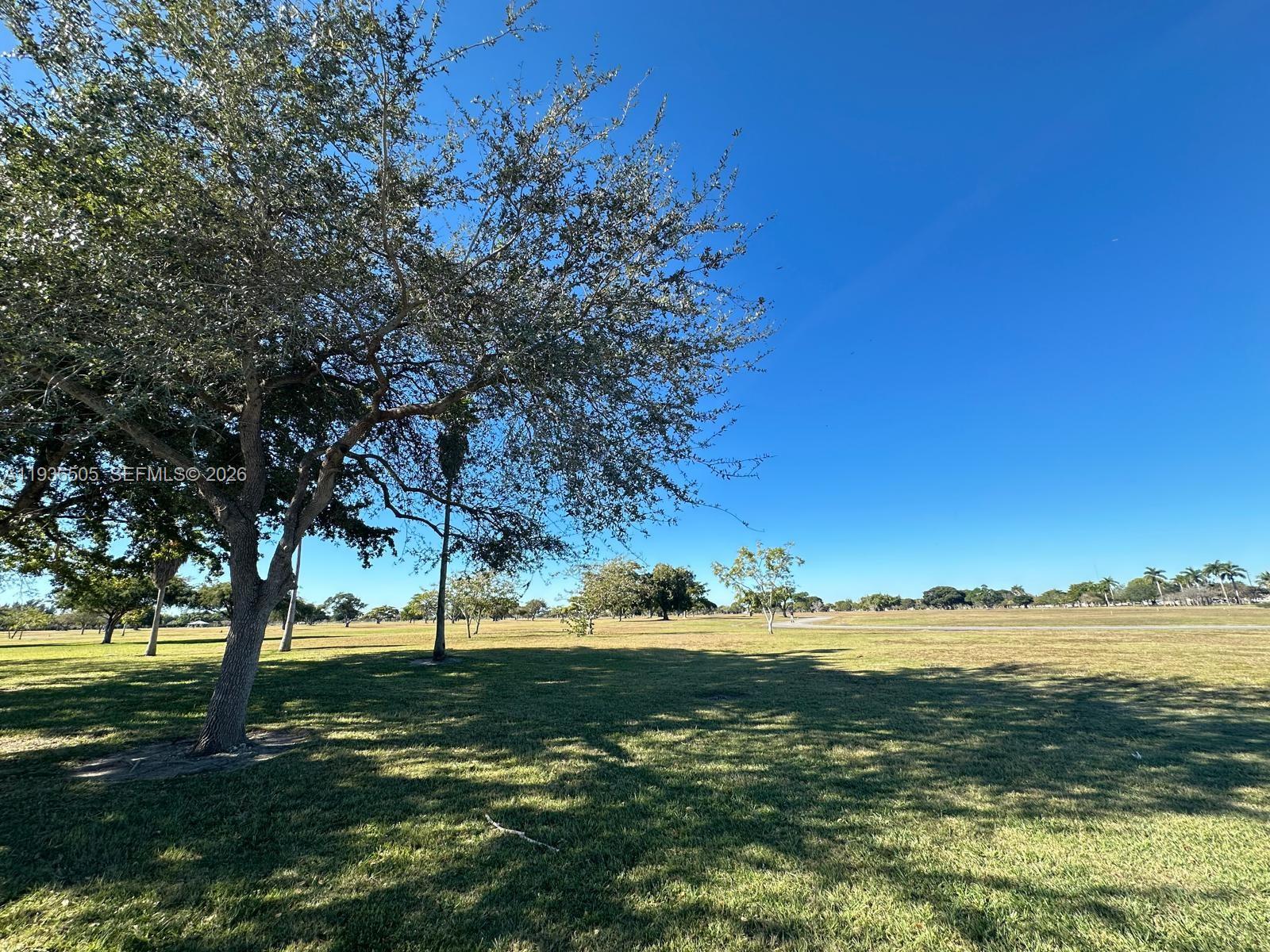 26848 Southwest 121st Avenue Homestead, FL 33032 - Photo 9 of 9 a view of a yard with a tree