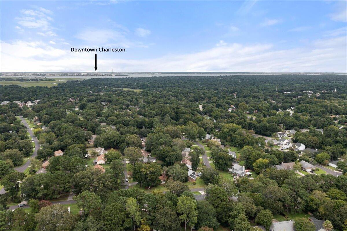 1157 Bellwood Road Charleston, SC 29412 - Photo 32 of 34 16-Aerial to Downtown