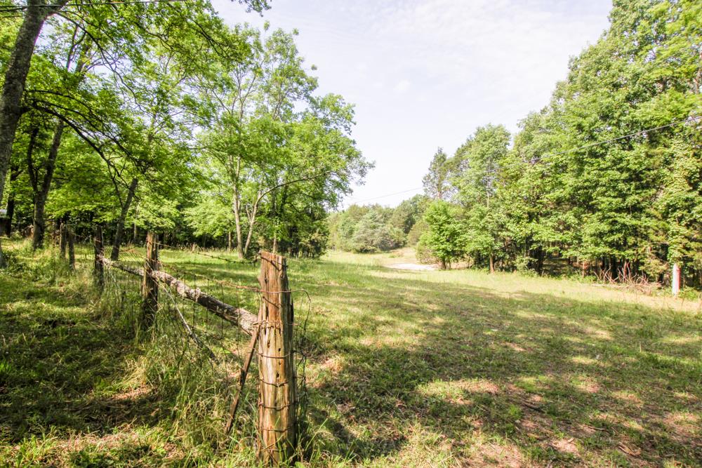 185 Osborne Road Watertown, TN 37184 - Photo 12 of 19 a view of a yard with a tree