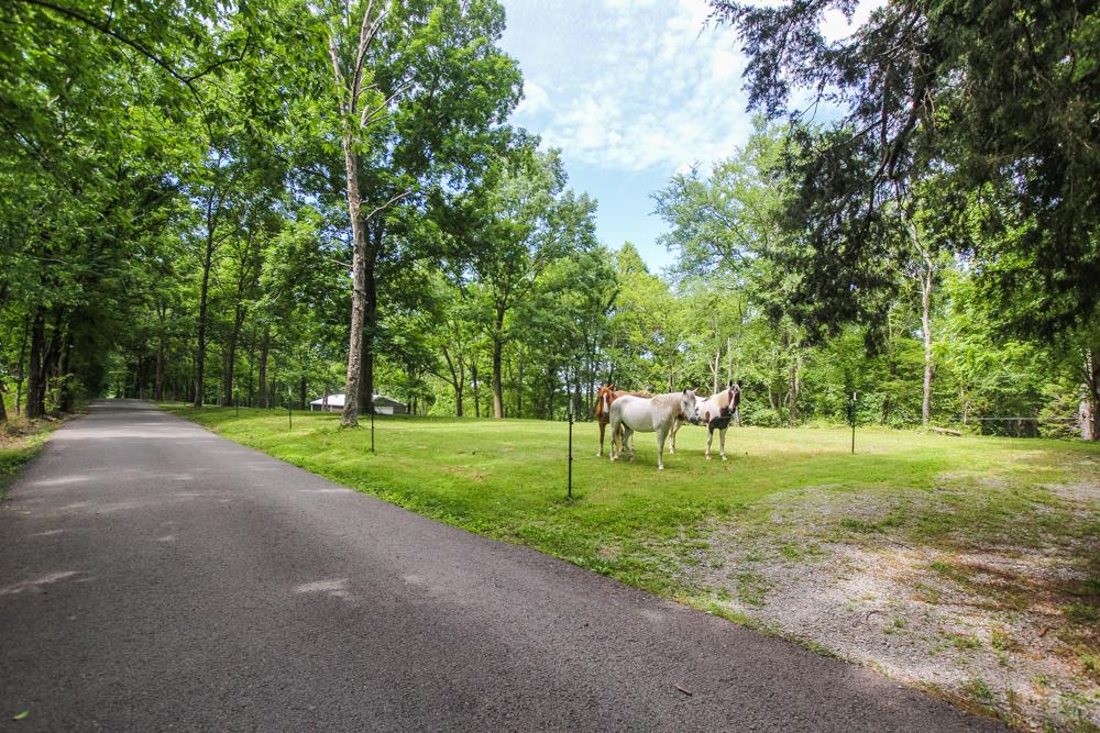 185 Osborne Road Watertown, TN 37184 - Photo 18 of 19 a view of a park with large trees