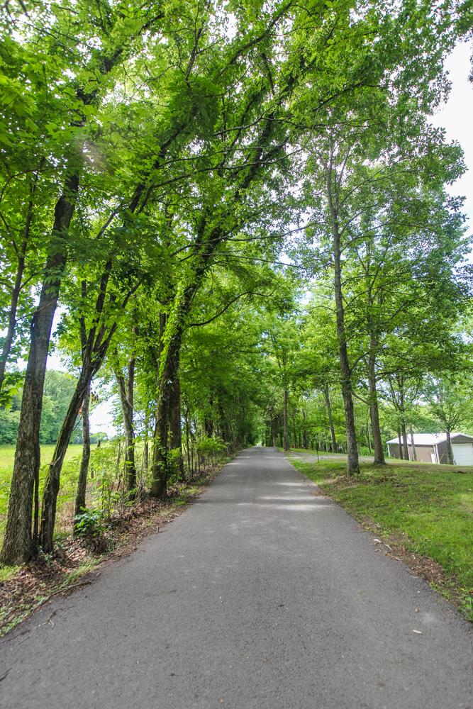 185 Osborne Road Watertown, TN 37184 - Photo 19 of 19 a view of outdoor space with trees all around
