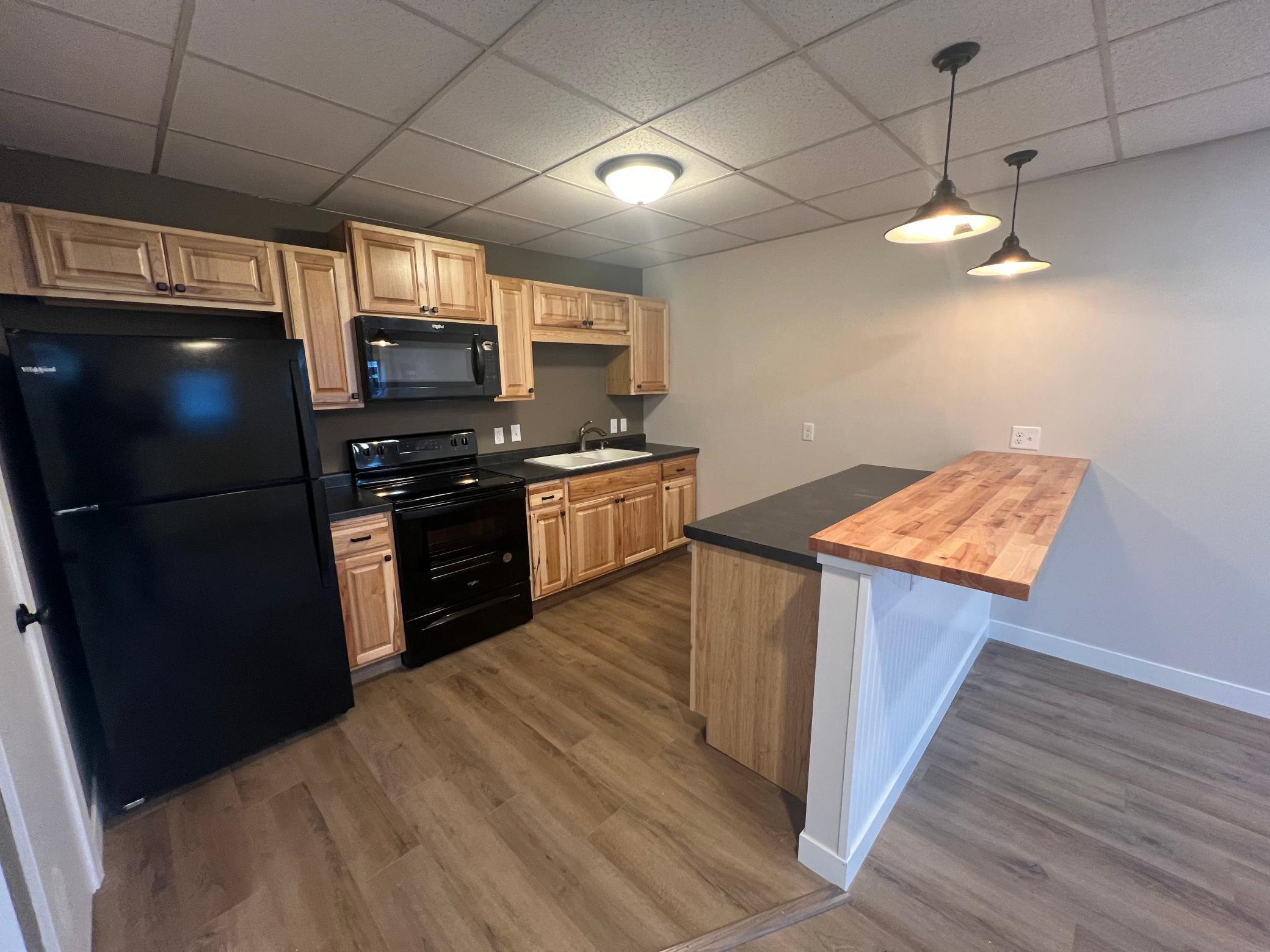 409 Elm Avenue Waverly, MN 55390 - Photo 4 of 55