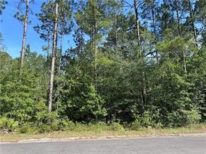 0 South City Boulevard Waycross, GA 31503 - Photo 2 of 3