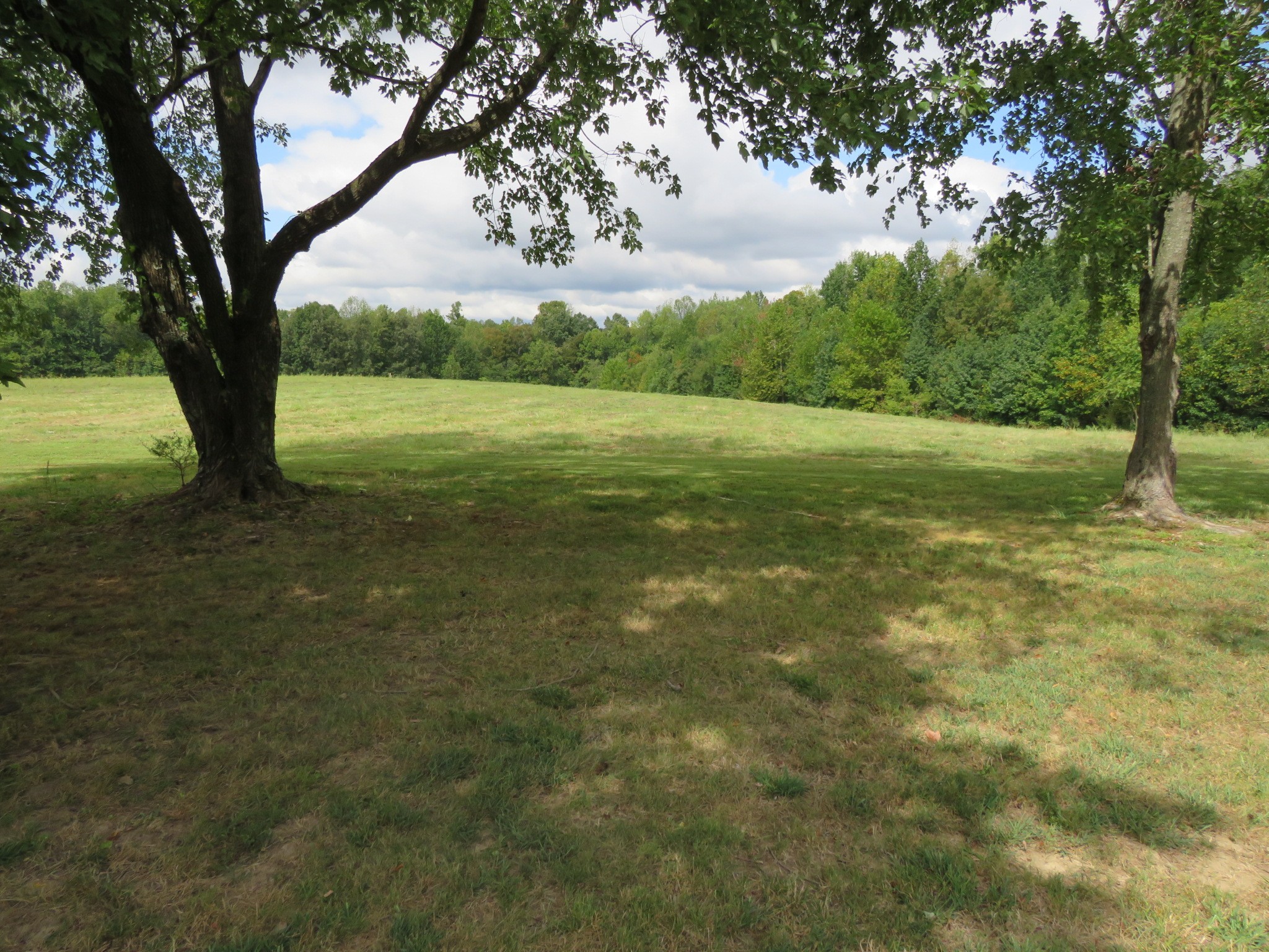 315 Bob Perry Road Bethpage, TN 37022 - Photo 6 of 30 Gallery Image 6
