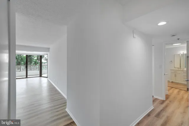 a view of a garden with large trees