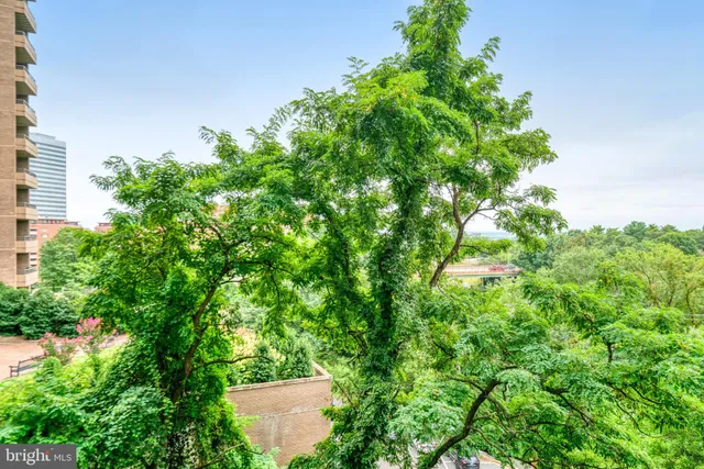 $768,000 | 1600 North Oak Street, Unit 212, Arlington, VA 22209