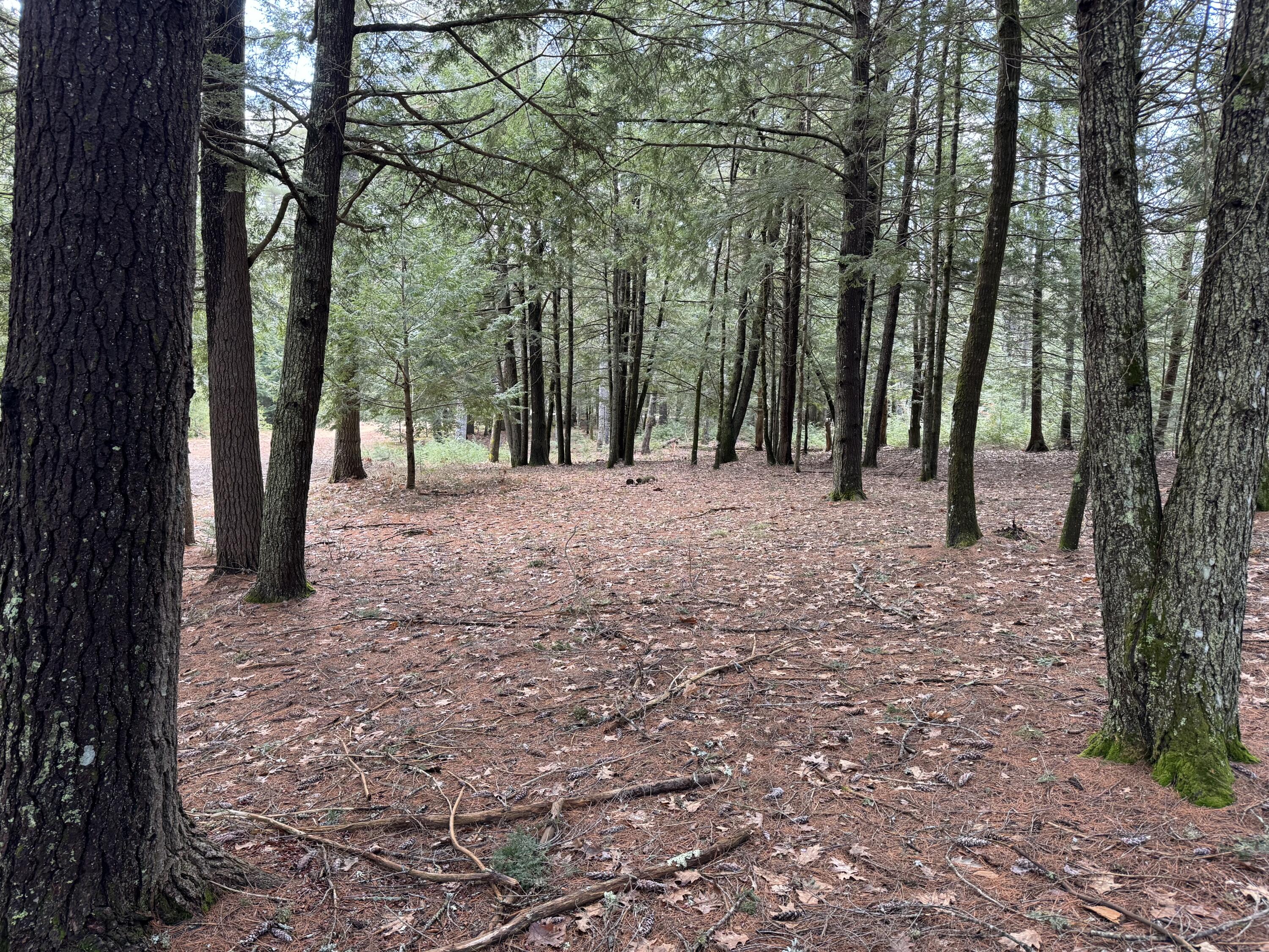 148 Beaver Brook Road Limerick, ME 04048 - Photo 10 of 12