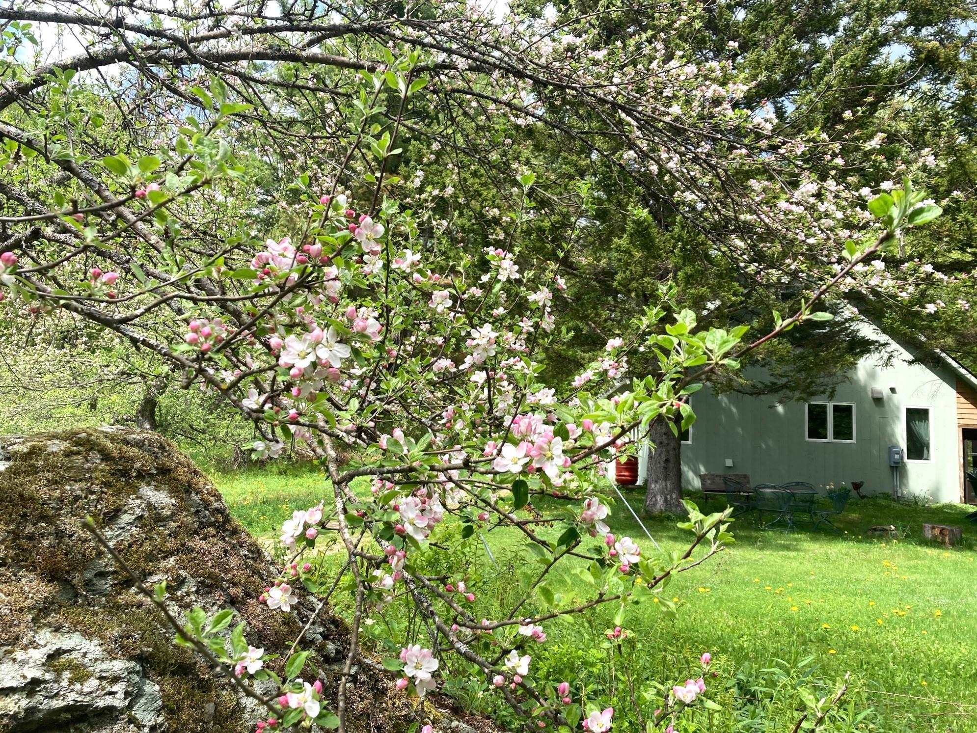 419 Shampeny Hill Road Hancock, VT 05748 - Photo 55 of 55