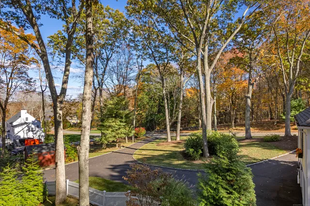 a view of yard with tree