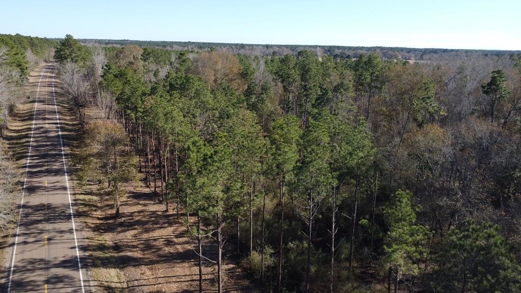 358 Holcombe Road Groveton, TX 75845 - Photo 12 of 15