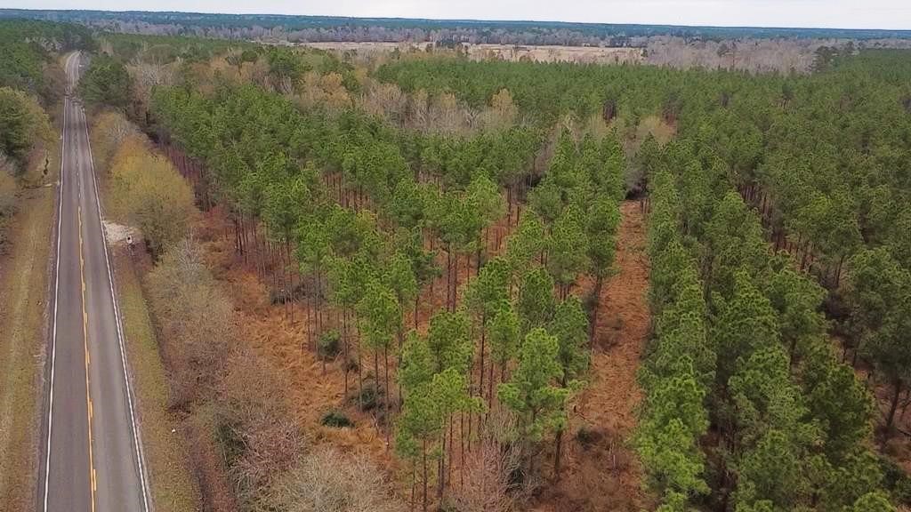 358 Holcombe Road Groveton, TX 75845 - Photo 14 of 15