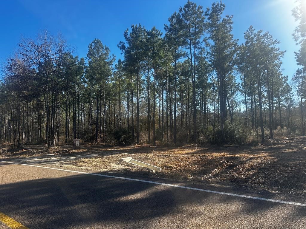 358 Holcombe Road Groveton, TX 75845 - Photo 15 of 15