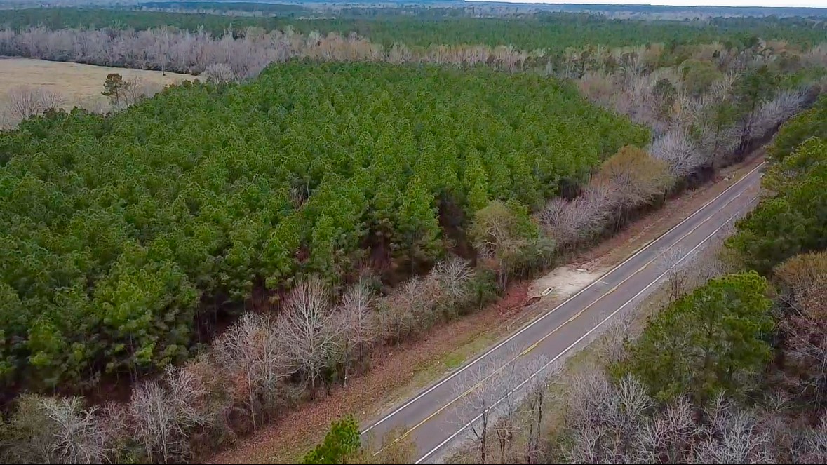 358 Holcombe Road Groveton, TX 75845 - Photo 2 of 15