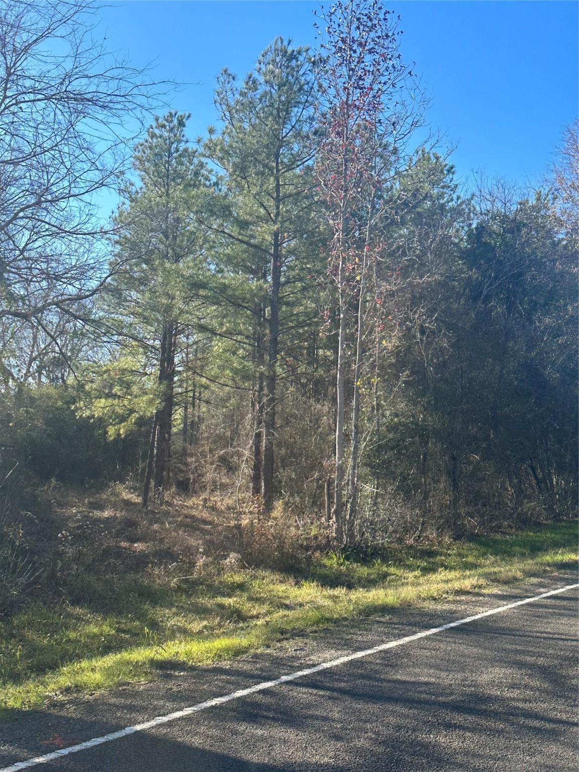 358 Holcombe Road Groveton, TX 75845 - Photo 2 of 10