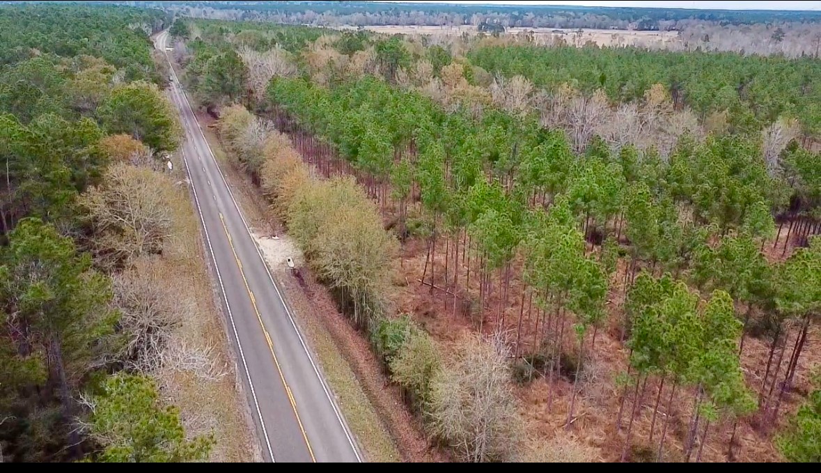 358 Holcombe Road Groveton, TX 75845 - Photo 7 of 10