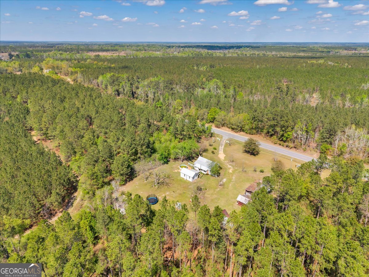 3613 S Highway Dublin, GA 31021 - Photo 47 of 52 a view of an ocean beach