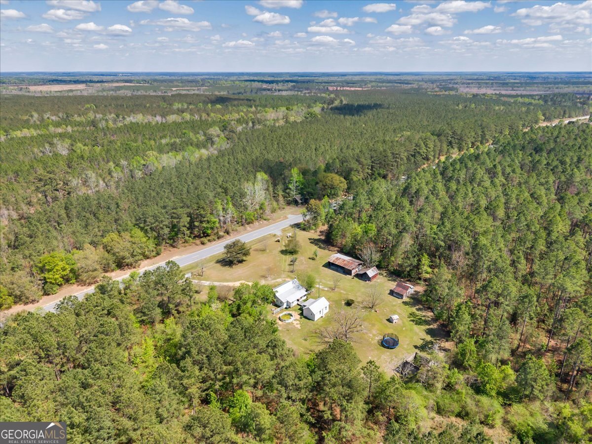 3613 S Highway Dublin, GA 31021 - Photo 49 of 52 a view of a lake view