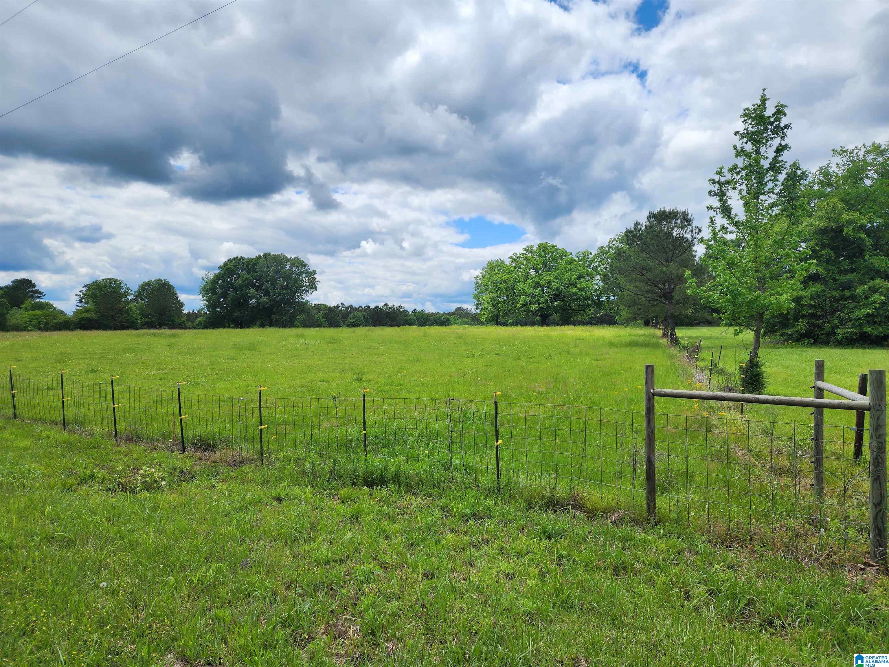 305 Stolle Farm Road, Unit METES AND BOUNDS Ashville, AL 35953 - Photo 7 of 7