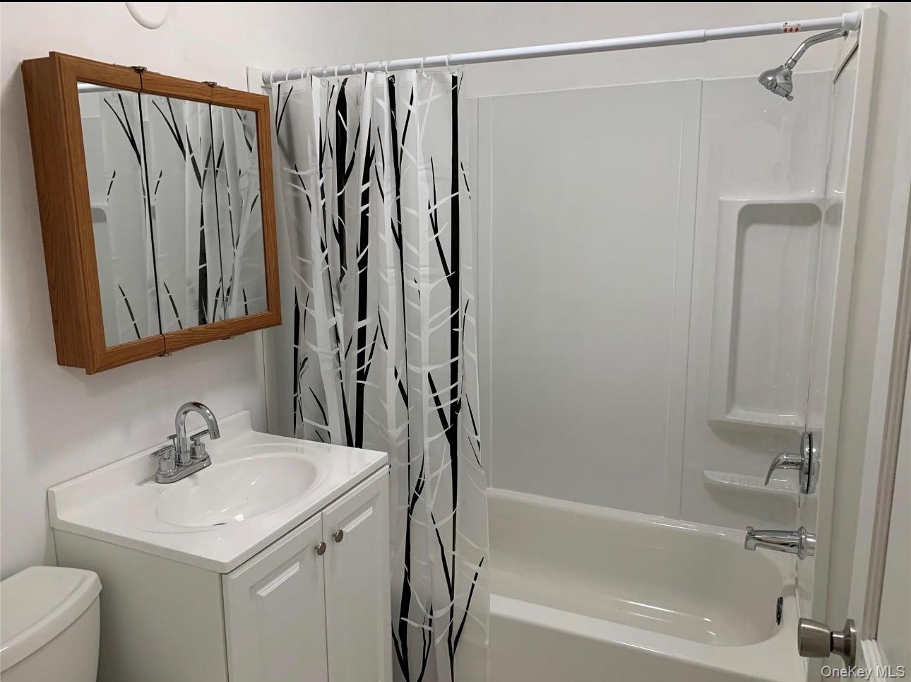 604 Basket Road Long Eddy, NY 12760 - Photo 15 of 37 a bathroom with a sink a mirror and a shower