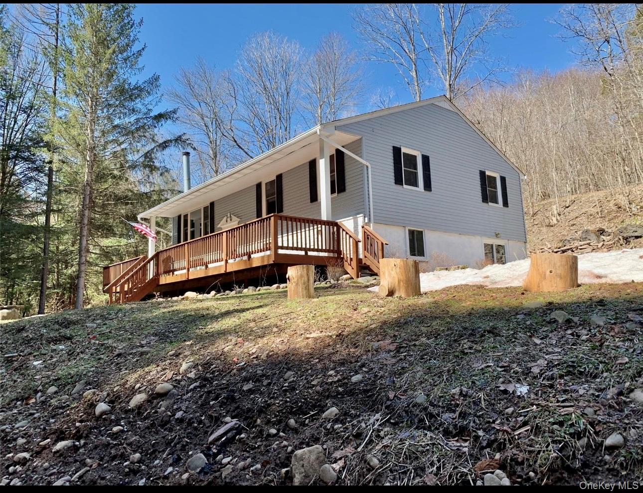 604 Basket Road Long Eddy, NY 12760 - Photo 2 of 37 a house view with a backyard space