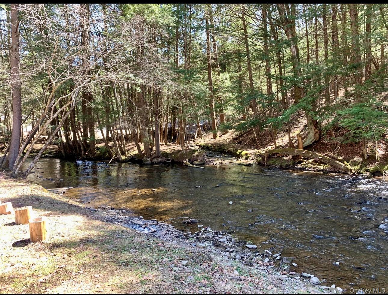 604 Basket Road Long Eddy, NY 12760 - Photo 4 of 37 a view of a lake with houses