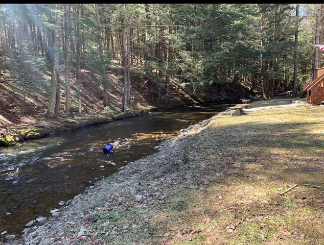 a view of a yard with plants and trees