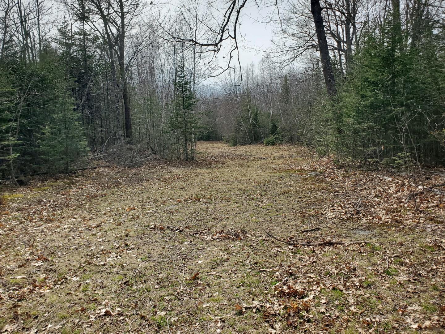 247 South Center Road Monroe, ME 04951 - Photo 23 of 29 4-28-21 247 South Center Road 0103 adj