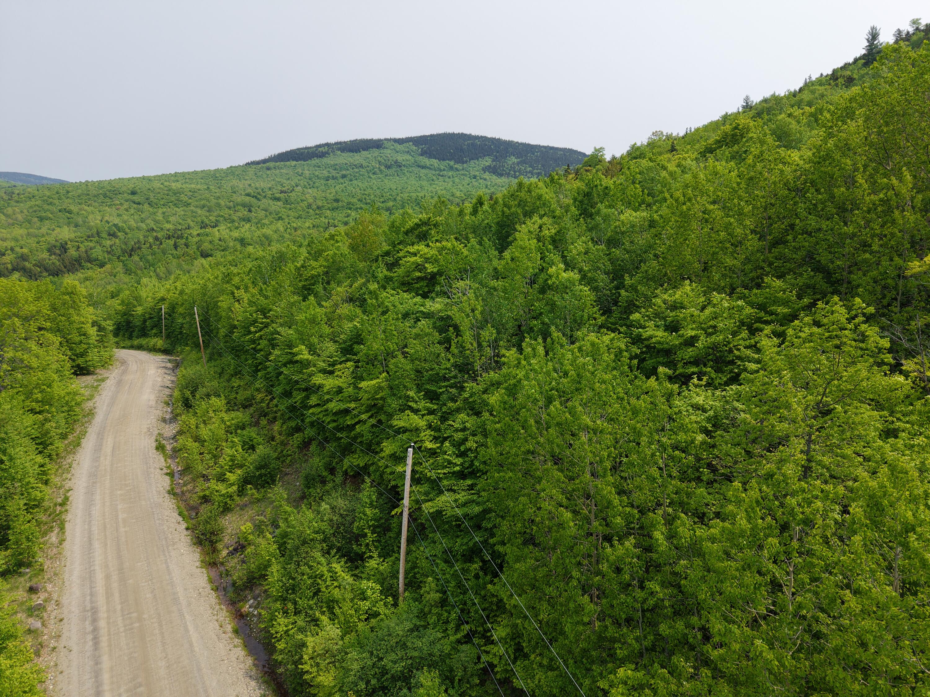 2-3 Ira Mountain Road Kingfield, ME 04947 - Photo 2 of 22 DJI_20250604110352_0032_D
