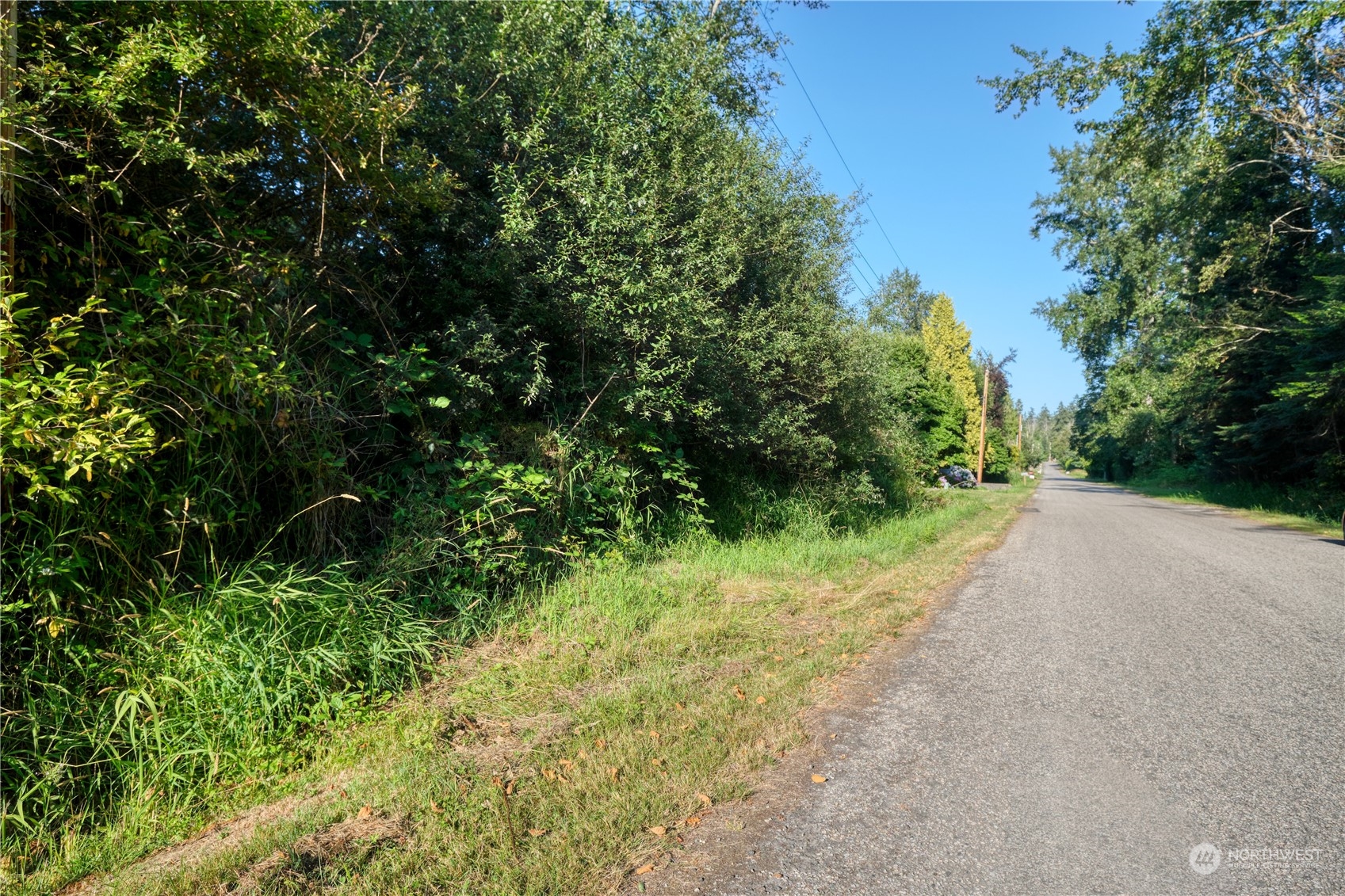 11-lot Rex Street Point Roberts, WA 98281 - Photo 2 of 7 a view of a yard with plants and large trees