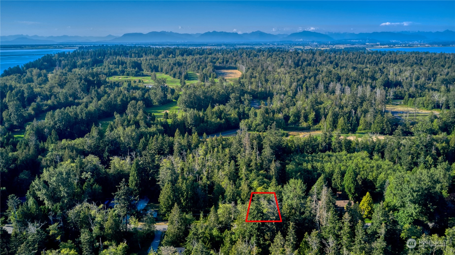 11-lot Rex Street Point Roberts, WA 98281 - Photo 4 of 7 a view of a city with lush green forest