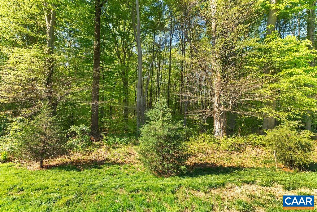 1508 Grove Road Charlottesville, VA 22901 - Photo 57 of 69 a view of a garden