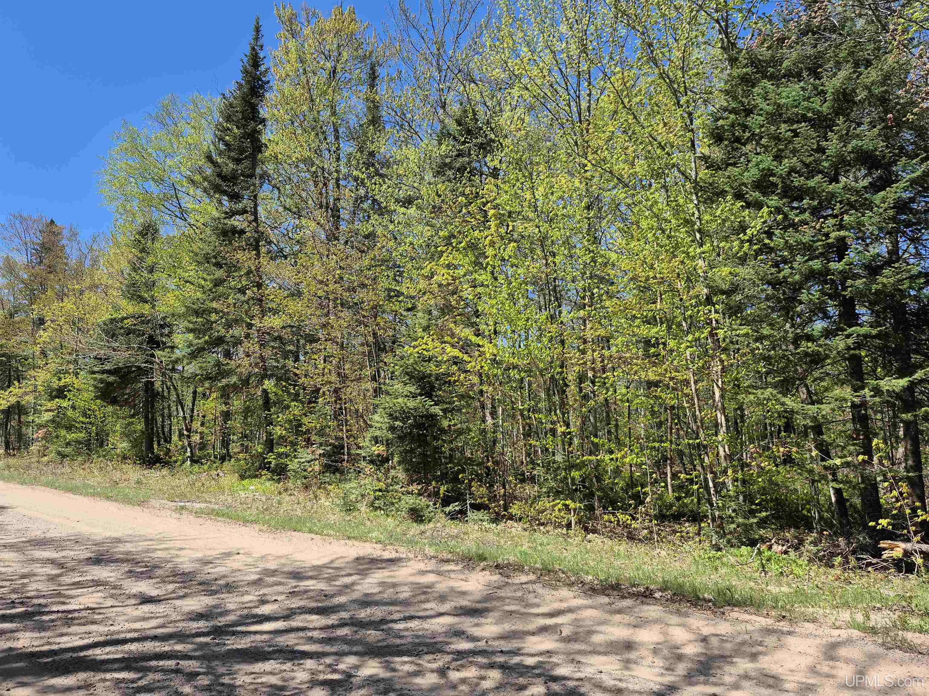 South 8-acres Perch Lake Road Munising, MI 49862 - Photo 4 of 44 Gallery Image 4