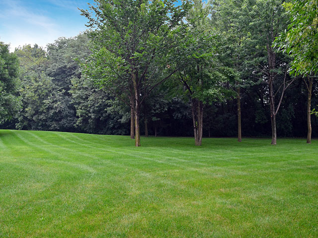 1260 Aberdeen Road Inverness, IL 60067 - Photo 22 of 23 a fire hydrant in the middle of a field