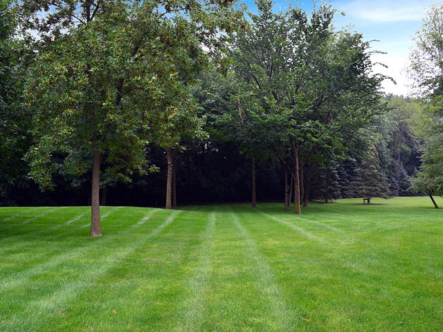 1260 Aberdeen Road Inverness, IL 60067 - Photo 23 of 23 a tall trees with a yard