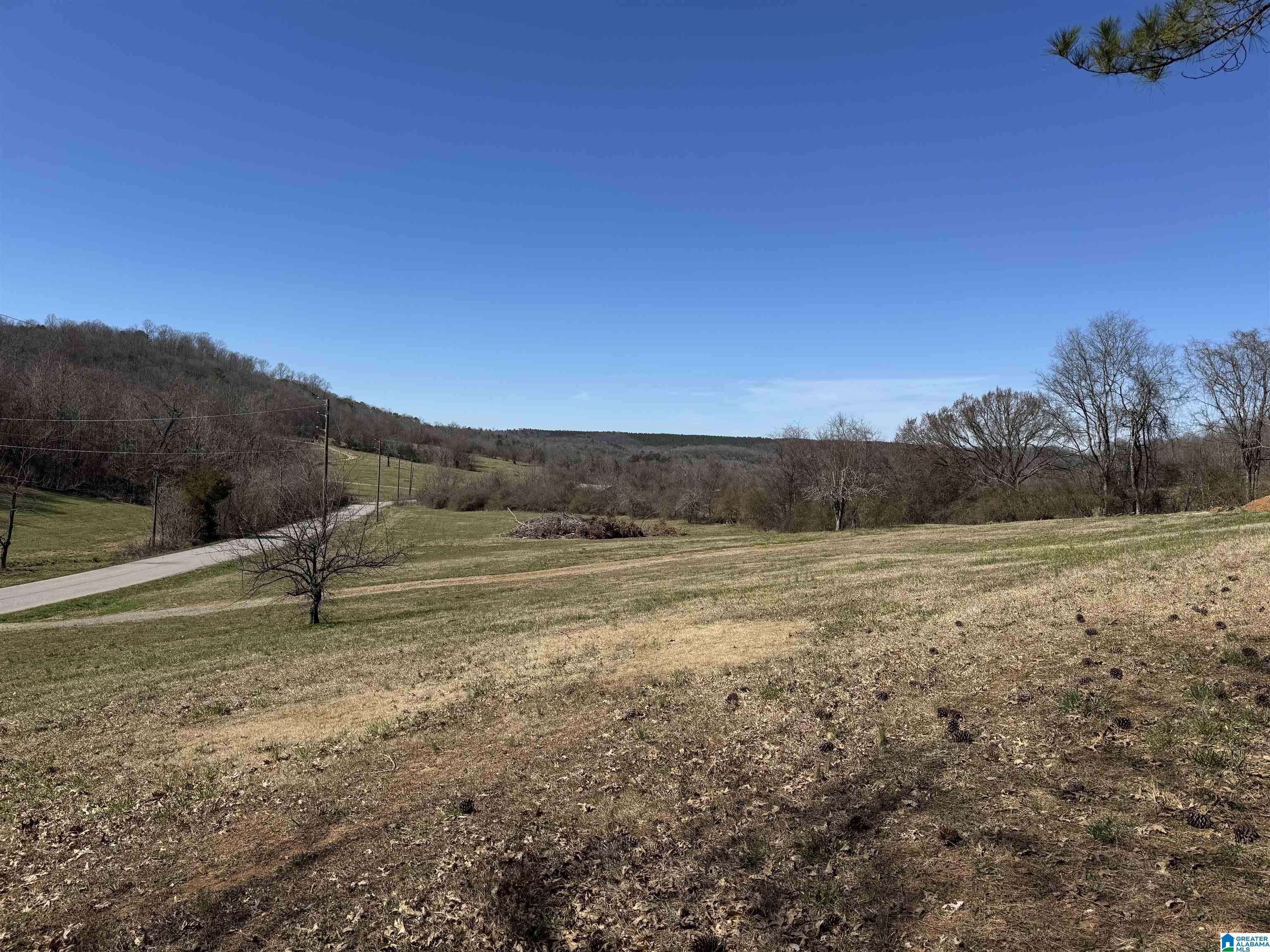 0 Rocky Hollow Road, Unit 3 00 Guntersville, AL 35976 - Photo 20 of 23