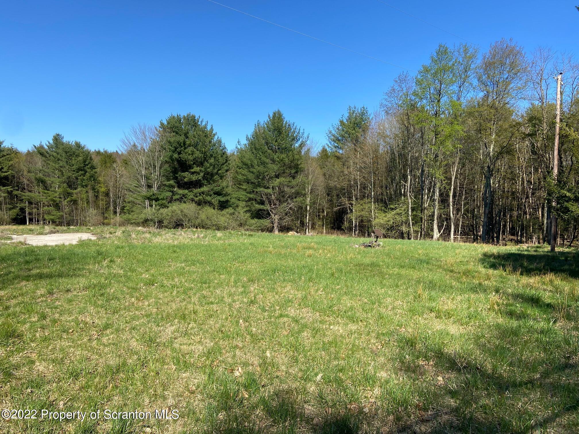 3433 State Route Forest City, PA 18421 - Photo 2 of 6 a view of a park with large trees