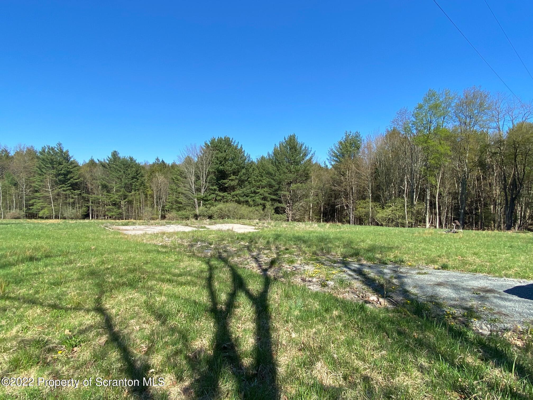 3433 State Route Forest City, PA 18421 - Photo 5 of 6 a view of field with trees in background